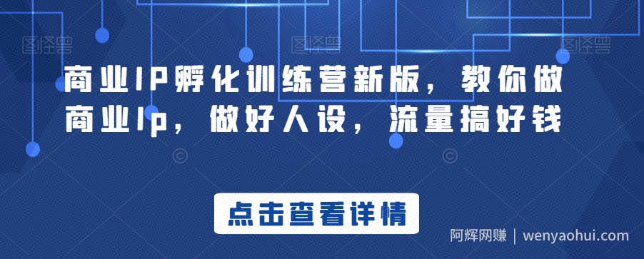 商业IP孵化训练营新版，教你做商业Ip，做好人设，流量搞好钱