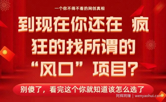 马上26年了，你还在找所谓的风口项目？别傻了，看完这个你全都懂了！【揭秘】
