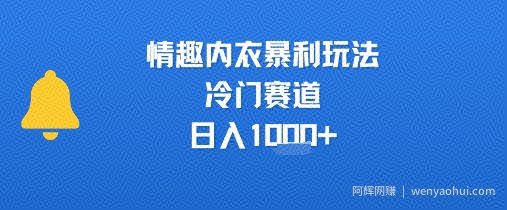 情趣内衣暴利玩法，冷门赛道，日入1k+