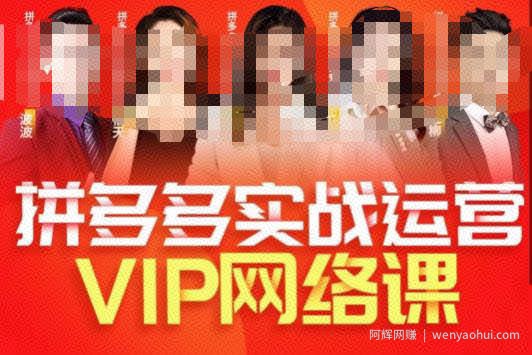推易拼多多VIP全套直播课程，拼多多店铺实操玩法+实战玩法选款内功+直通车高阶等