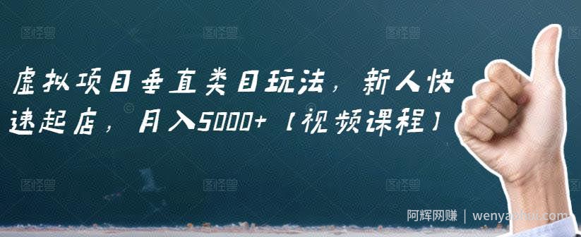 虚拟项目垂直类目玩法，新人快速起店，月入5000+【视频课程】