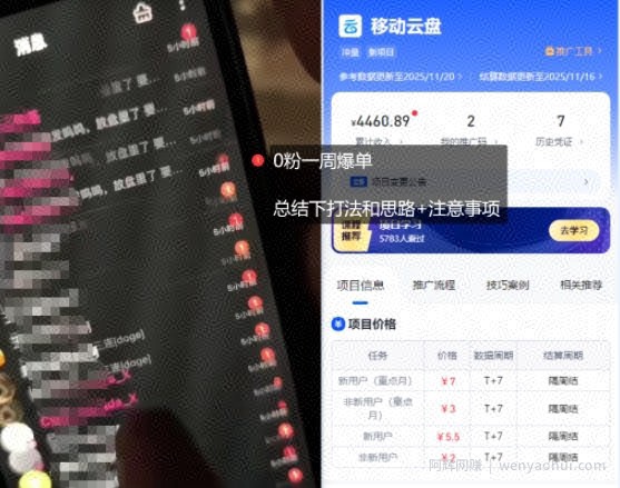 移动云盘项目，我们自己实操爆单一周4000与经验总结