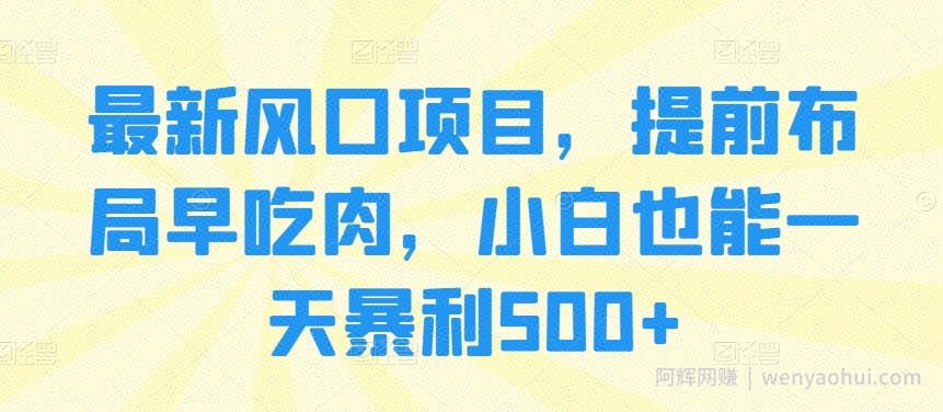 最新风口项目，提前布局早吃肉，小白也能一天暴利500+