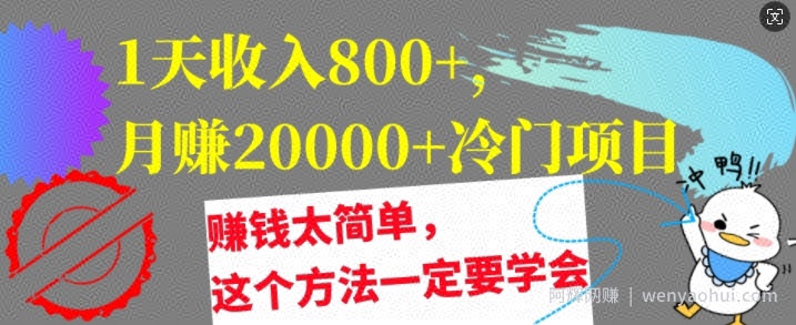 1天收入8张，月赚2w+冷门项目，賺米太简单，这个方法一定要学会【干货】