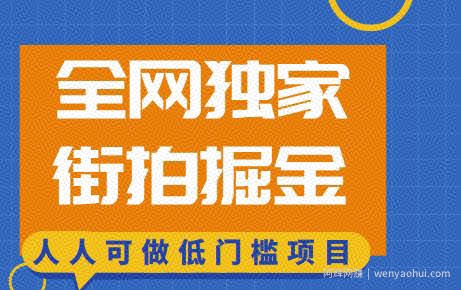 全网独家一街拍掘金，低门槛人人可做的賺米项目【揭秘】