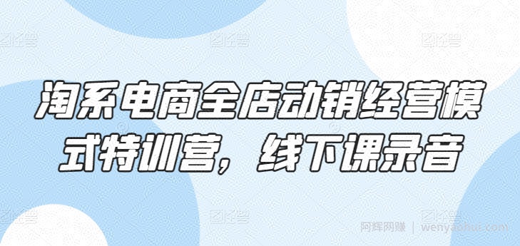 淘系电商全店动销经营模式特训营，线下课录音