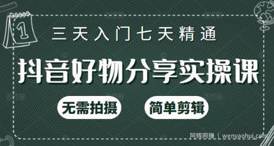 抖音好物分享实操课，无需拍摄，简单剪辑，短视频快速涨粉（125节视频课程）