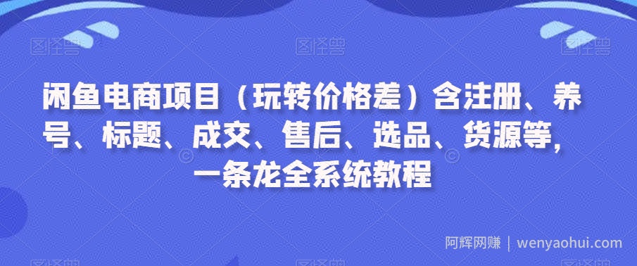闲鱼电商项目（玩转价格差）含注册、养号、标题、成交、售后、选品、货源等，一条龙全系统教程