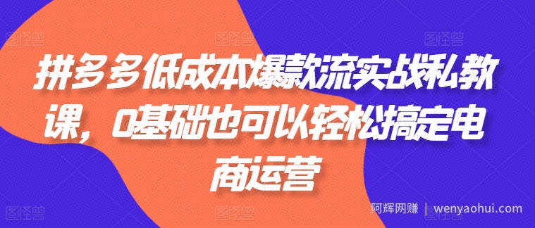 拼多多低成本爆款流实战私教课，0基础也可以轻松搞定电商运营