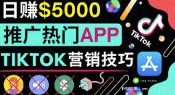 无需露脸，无需录音，无需投入，轻松上传短视频，利用TIKTOK賺米，最高日入5000美元