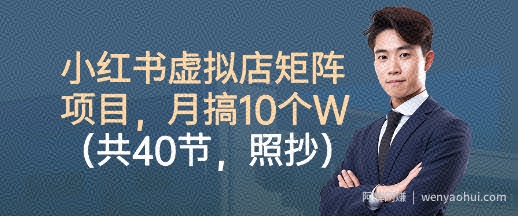 小红书虚拟店矩阵项目，照抄照做，月搞1W+（共40节）