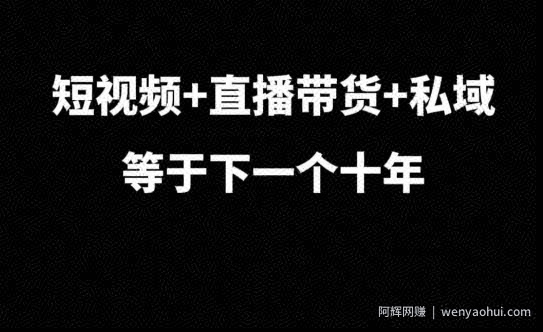 短视频+直播带货+私域等于下一个十年，大佬7年实战经验总结