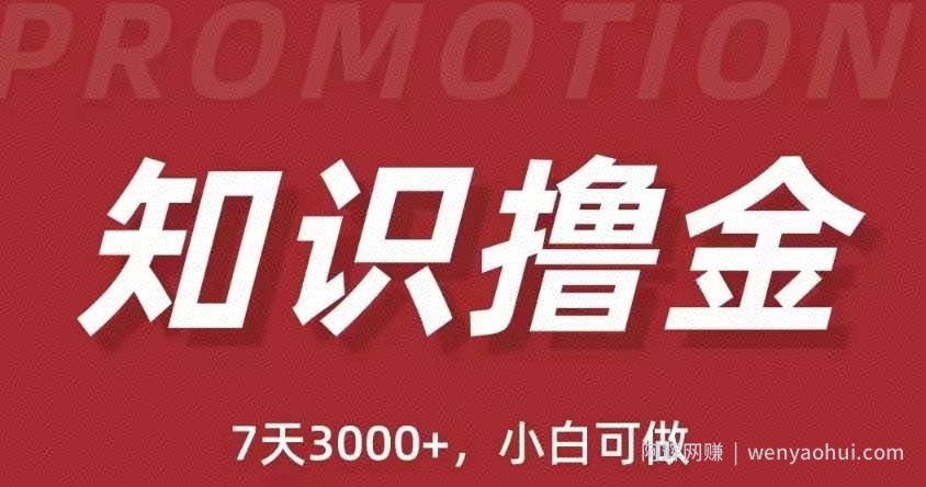 抖音知识撸金项目：简单粗暴日入1000+执行力强当天见收益(教程+资料)