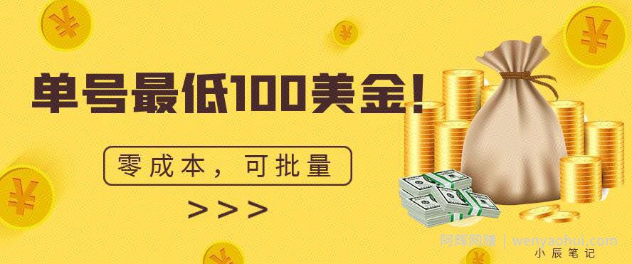 单号最低100美金，零成本，小白无脑操作，可复制，可扩大