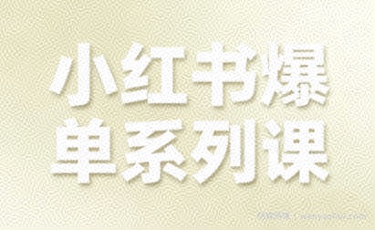 小红书爆单系列课，聚焦小红书电商全链路增长（更新）