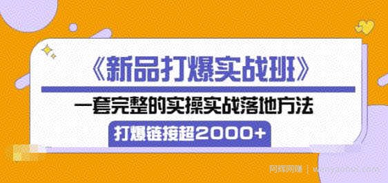 《新品打爆实战班》一套完整的实操实战落地方法，打爆链接超2000+（38节课)