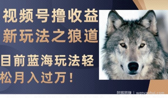视频号撸收益新玩法之狼道，目前蓝海玩法，轻松月入过万【揭秘】