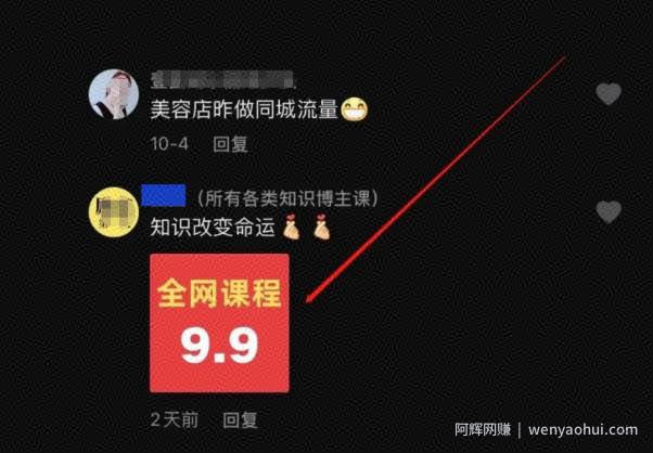 被动获取流量的賺米项目：抖音评论截流卖资料，也能日入200元