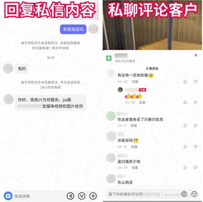 抖音快手卖猫狗，0门槛，月销30万！