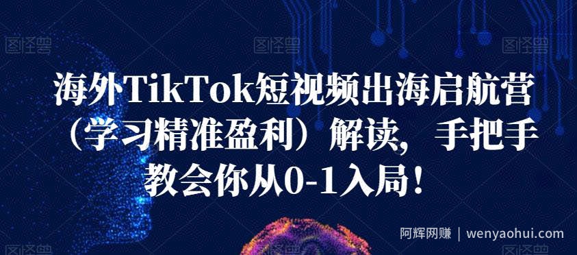 海外TikTok短视频出海启航营（学习精准盈利）解读，手把手教会你从0-1入局！