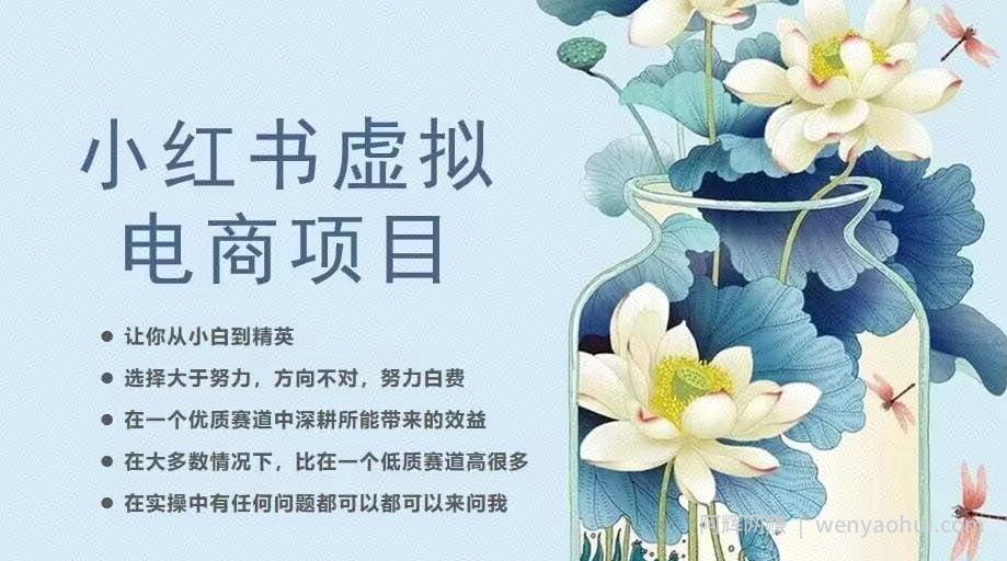 小红书虚拟电商从0到1，让你从小白到精英（20节实操课程）