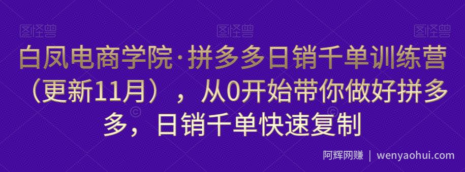 白凤电商学院·拼多多日销千单训练营，从0开始带你做好拼多多，日销千单快速复制（更新知2023年3月）