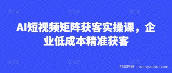 AI短视频矩阵获客实操课，企业低成本精准获客