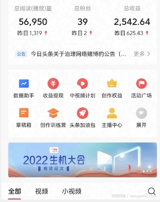 全新蓝海，西瓜视频流量掘金项目，简单上手适合0基础小白，暴力玩法日入500＋【揭秘】