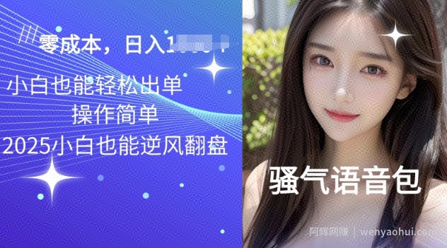 2025骚气导航语音包项目，零基础小白单日变现多张