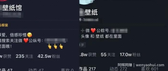 分享一个新手副业，零门槛的小众短视频賺米项目