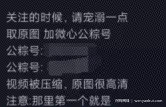 本人实战月入万元的抖音壁纸号项目完整操作流程！