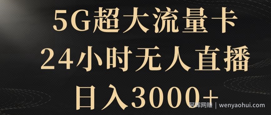 5G超大流量卡，24小时无人直播，日入3000+【揭秘】