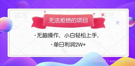 无法拒绝的项目，无脑操作，小白轻松上手，单日利润多张