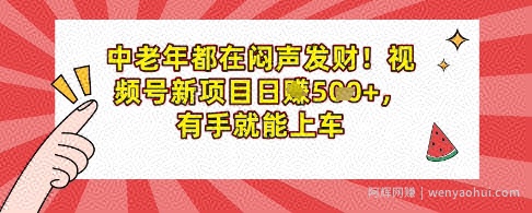 中老年都在闷声发财，视频号新项目日入多张，有手就能上车