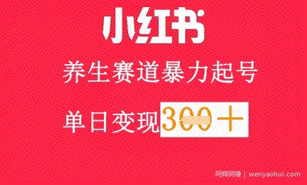 小红书养生赛道，暴力起号，轻松日入3张+
