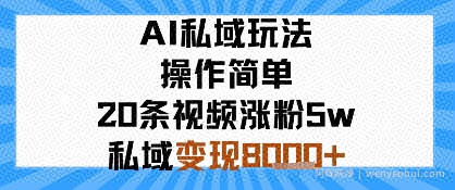 AI私域玩法，操作简单，20条视频涨粉5w，私域变现8k+