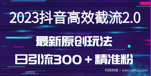 日引300＋创业粉，独家抖音高效截流2.0玩法（价值1280）