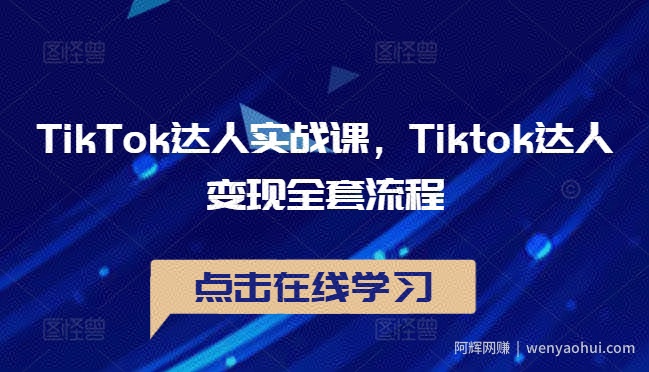 TikTok达人实战课，Tiktok达人变现全套流程