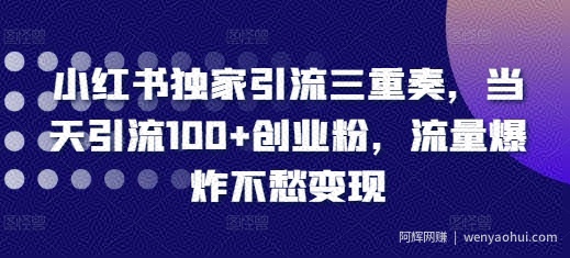 小红书独家引流三重奏，当天引流100+创业粉，流量爆炸不愁变现【揭秘】