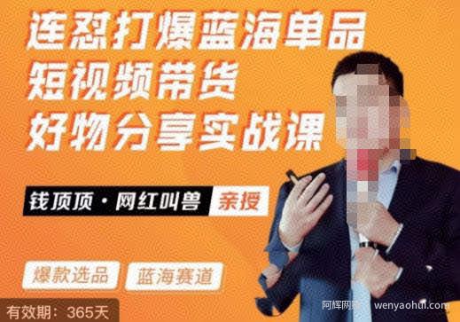 网红叫兽·连怼打爆蓝海单品，短视频带货好物分享实战课