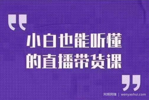 大威本威·小白也能听懂的直播带货课,玩转直播带货,轻松出单