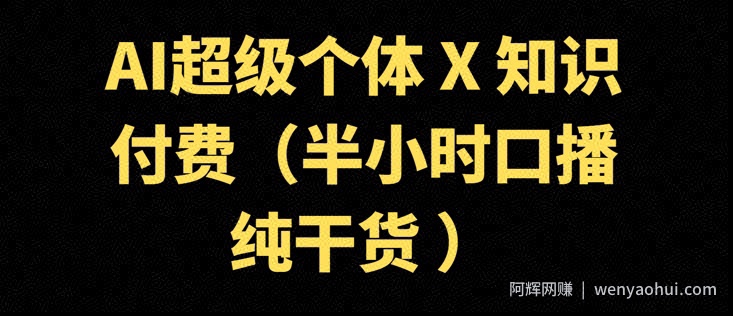 AI超级个体 + 知识付费(半小时口播纯干货 )