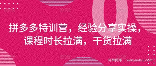 拼多多特训营，经验分享实操，课程时长拉满，干货拉满(更新25年4月)