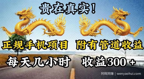 正规手机项目，附有丰富的管道收益，每天几小时，收益300