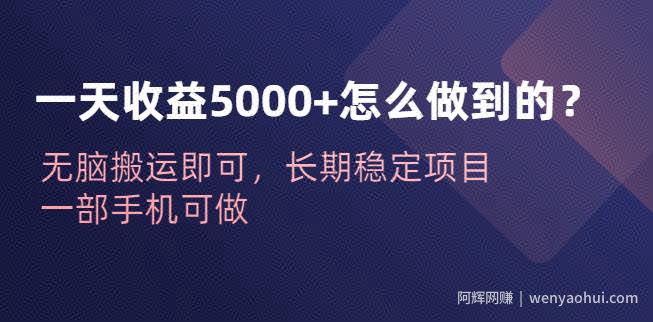 一天收益5000+怎么做到的？无脑搬运即可，长期稳定项目，一部手机可做【揭秘】