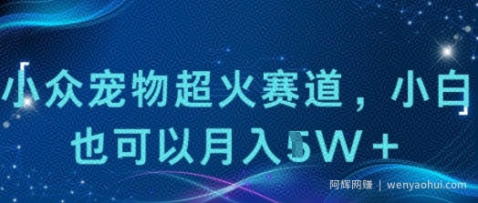 小众宠物超火赛道，小白也可以月入1w+