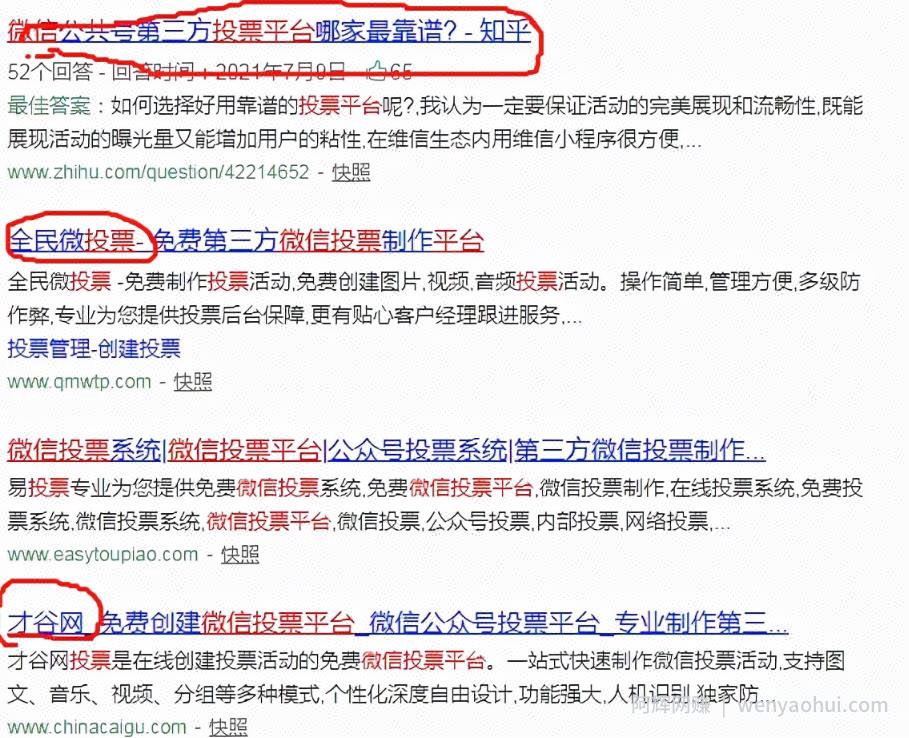 网上投票賺米项目，靠执行力如何月入过万元？技巧分享
