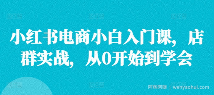 小红书电商小白入门课，店群实战，从0开始到学会