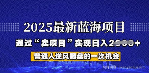 2025年首次揭秘如何通过“网创项目”日入多张【揭秘】