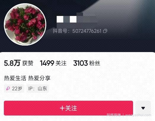 最近爆火的抖音小程序项目，榜一是个新手，一个作品赚了60000+，新手小白快上车